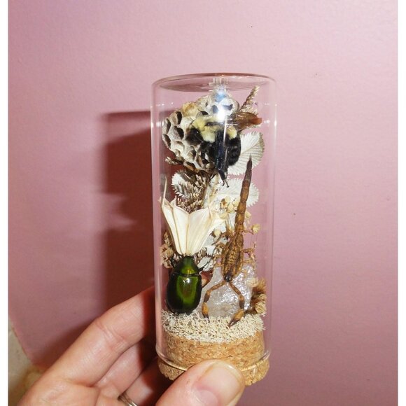 Scorpion Green Chafer Beetle Wasp Nest Bee & Crystal Oddity Jar taxidermy - Picture 11 of 16